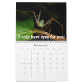 Insectes et tout autre calendrier de Wierdness (Feb 2027)