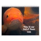 Insectes et tout autre calendrier de Wierdness (Protection)