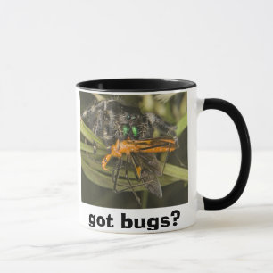 insectes obtenus ? droite de tasse