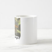 insectes obtenus ? tasse L (Centre)