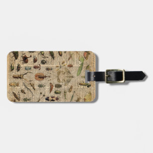 Insects Bugs Illustration Dictionary Art Bagagelabel