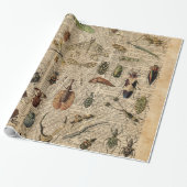 Insects Bugs  Illustration Dictionary Art Cadeaupapier (Uitgerold)