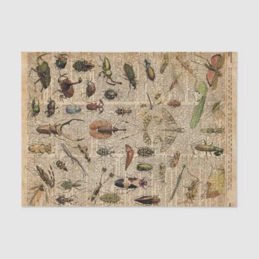 Insects Bugs  Illustration Dictionary Art Tissuepapier (Voorkant)