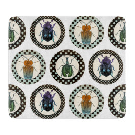  Insects Colorful Beetles Science Snijplank