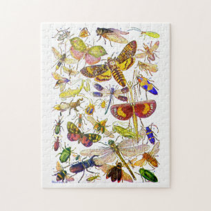 Insects Jigzaag Puzzle   Creepy Crawlies Legpuzzel