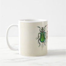 INSECT's