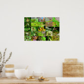 Insekten - Collage Poster (Keuken)