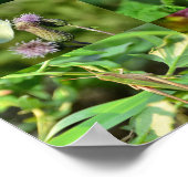 Insekten - Collage Poster (Hoek)
