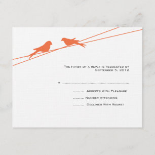 Inséparables orange et blanc sur un RSVP fil