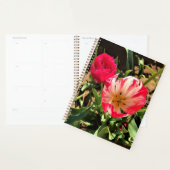 Inside a Pink et White Tulip (Devant avec enveloppe)