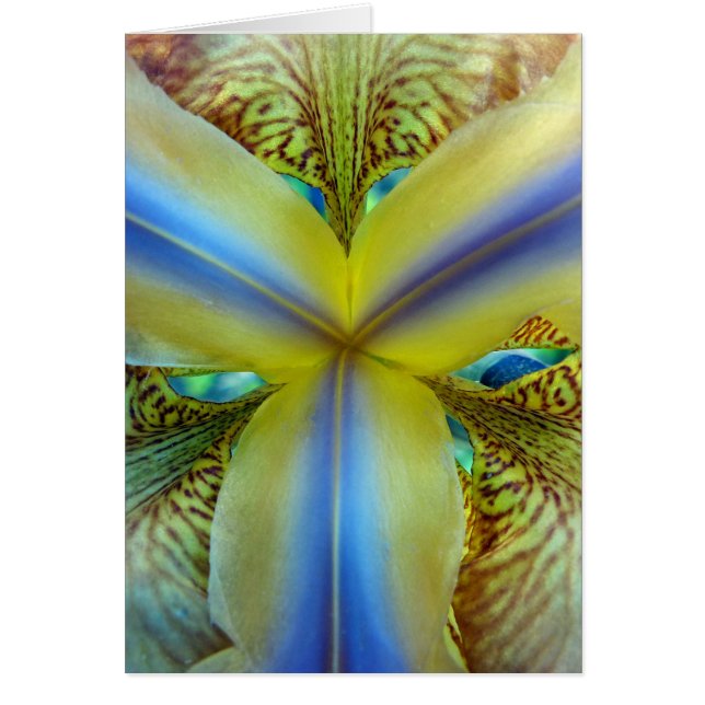 Inside of Iris (Voorkant)