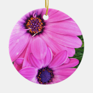 Inside of Pink Paars Gerbera Daisy Flower Natuur Keramisch Ornament