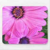 Inside of Pink Paars Gerbera Daisy Flower Natuur Muismat (Voorkant)
