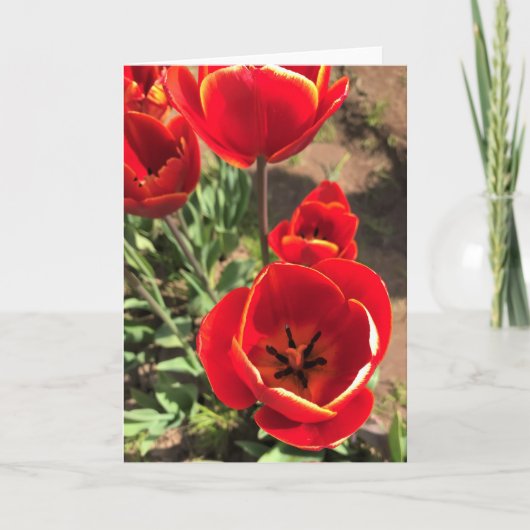 Inside Red Tulips Kaart (Voorkant)
