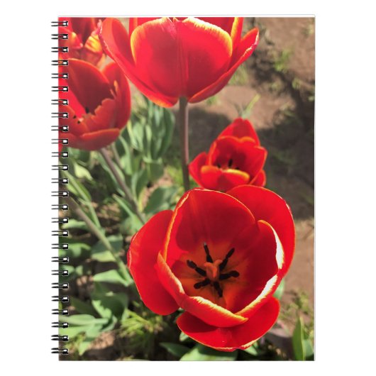 Inside Red Tulips Notitieboek (Voorkant)