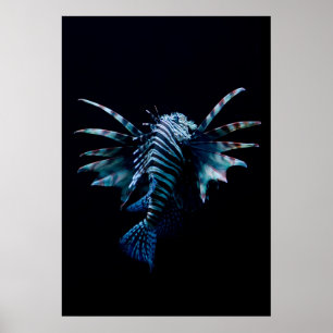 Inspiratie Poster