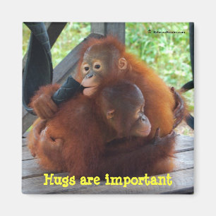 Inspiratie van baby's: Hugs zijn belangrijk Magneet