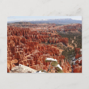 Inspiratiepunt bij Bryce Canyon I Briefkaart