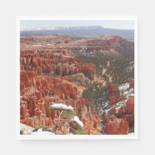 Inspiratiepunt bij Bryce Canyon I Servet
