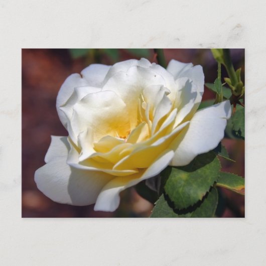 Inspiration Blooming Briefkaart (Voorkant)