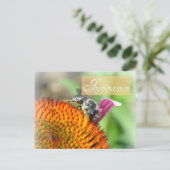 Inspiration Echinacea et carte postale d'abeille (Debout devant)