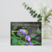 Inspiration scriptureflower carte postale sauvage (Debout devant)