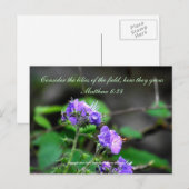 Inspiration scriptureflower carte postale sauvage (Devant / Derrière)