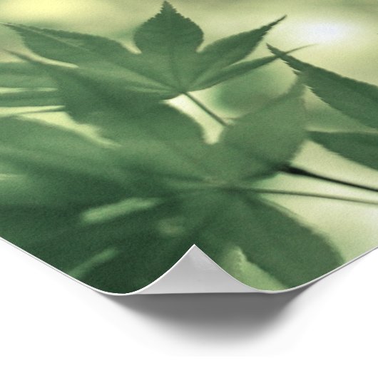 Inspirational Nature Quote Poster (Hoek)