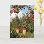 Inspirations naturelles Cartes de voeux Apple Orch (Fleur jaune)