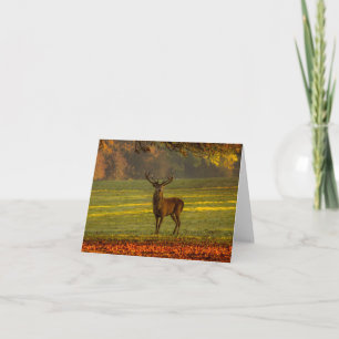 Inspirations naturelles Regal Buck