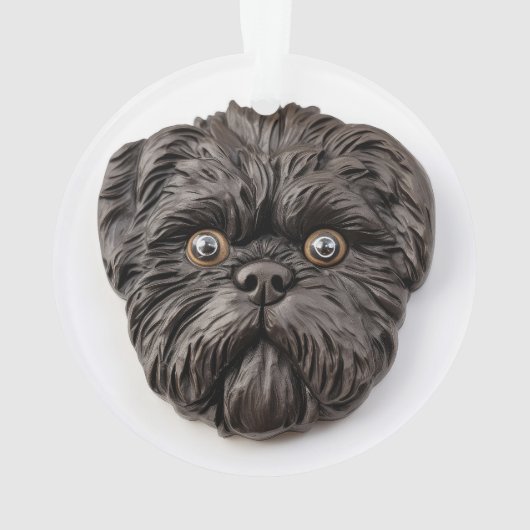 Inspiré 3D d'Affenpinscher (dos)