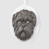 Inspiré 3D d'Affenpinscher (devant)