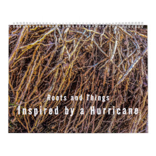 Inspiré par un calendrier des ouragans