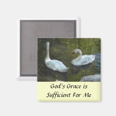 Inspirerend bericht van swans magneet (Voorkant / Achterkant)