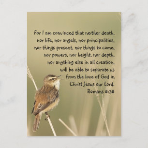 Inspirerend Bijbelscriptcitaat Romans 8:38  Briefkaart