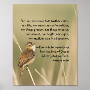 Inspirerend Bijbelscriptcitaat Romans 8:38 Poster