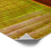 Inspirerend blad poster (Hoek)