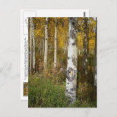 Inspirerend Briefkaart (Voorkant / Achterkant)