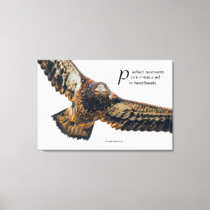 Inspirerend Citaat Bald Eagle in vlucht Canvas Afdruk
