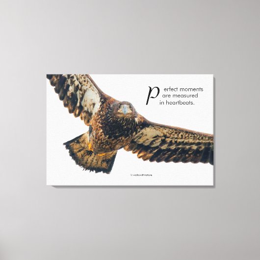 Inspirerend Citaat Bald Eagle in vlucht Canvas Afdruk (Voorkant)