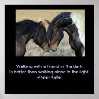 Inspirerend Citaat.Twee bruine wilde paarden die h
