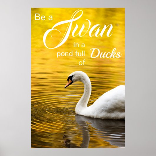 Inspirerend een Afstuderen-cadeautje voor Zwan zij Poster (Voorkant)