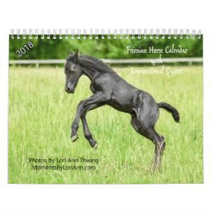 inspirerend-Friesian Horse Agenda 2018 Kalender