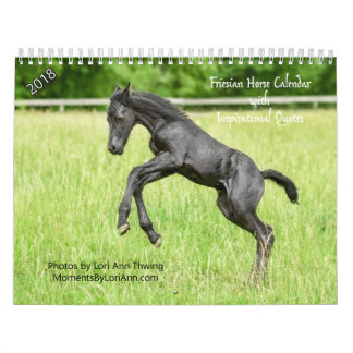 inspirerend-Friesian Horse Agenda 2018 Kalender