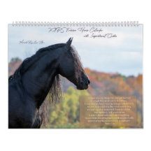Inspirerend Friesian Horse Calendar