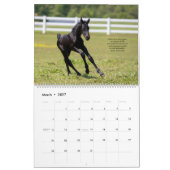 Inspirerend Friesian Horse Calendar Kalender (Mar 2027)