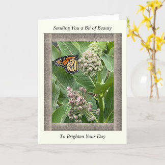 Inspirerend Get Well Card met Monarch Butterfly Kaart