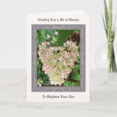 Inspirerend Get Well Card met Roze Hydrangea Kaart (Voorkant)