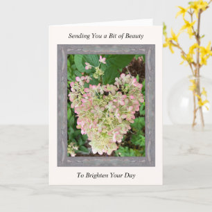 Inspirerend Get Well Card met Roze Hydrangea Kaart