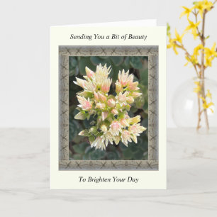 Inspirerend Get Well Card met Succulent Flowers Kaart